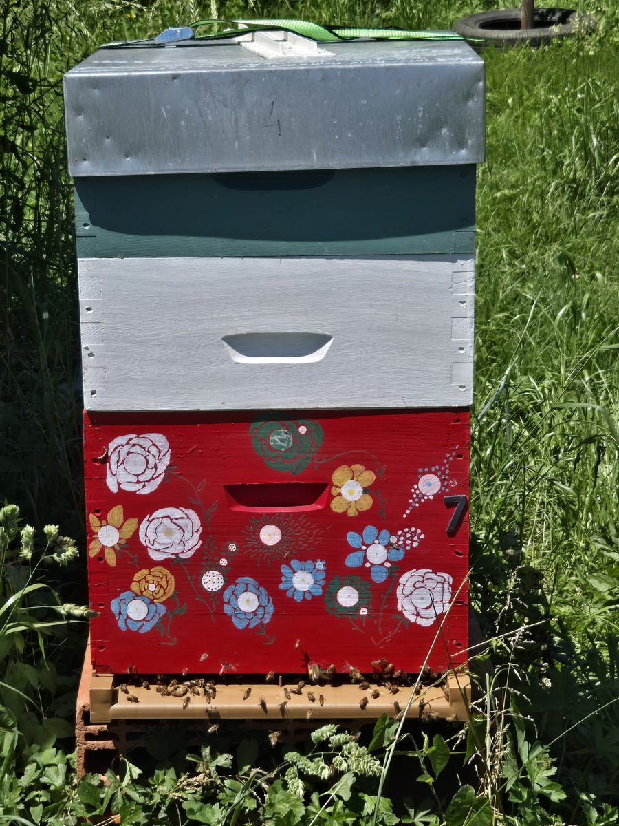 Ruche au corps rouge peint de fleurs